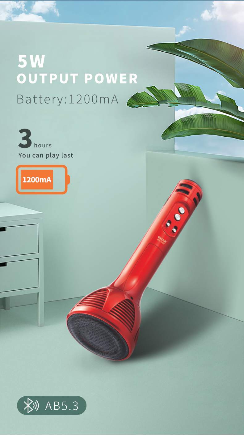 Wster model ws 1698 online