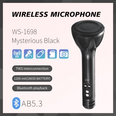 Wster model ws 2025 1698
